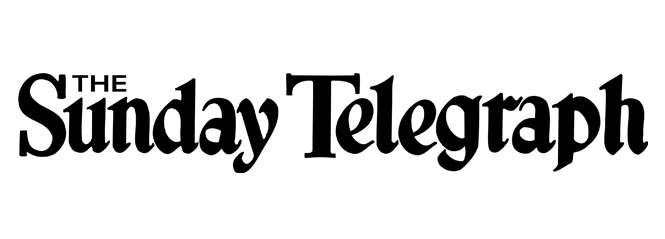 The Sunday telegraph banner image
